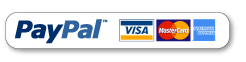 Paypal logo