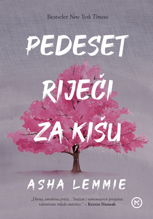 Asha Lemmie: Pedeset riječi za kišu