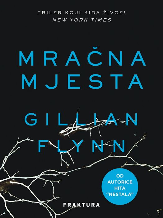 Gillian Flynn: Mračna mjesta