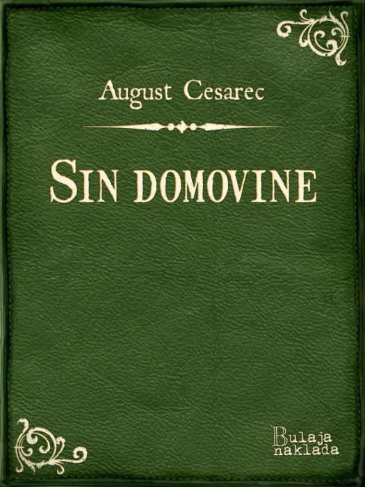 August Cesarec: Sin domovine