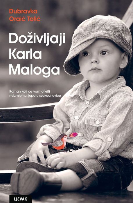 Dubravka Oraić Tolić: Doživljaji Karla Maloga