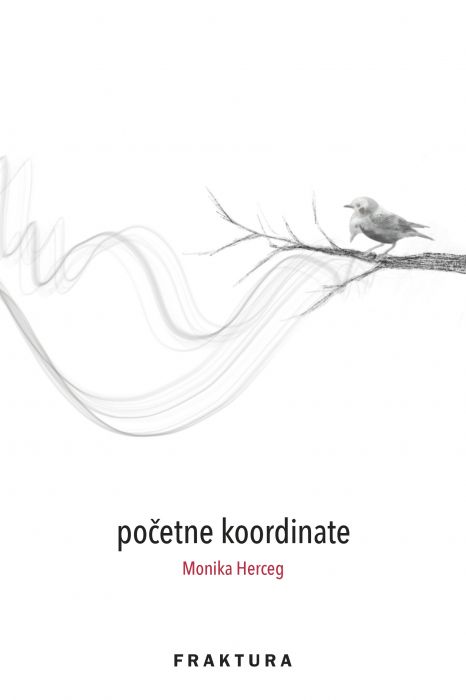 Monika Herceg: Početne koordinate