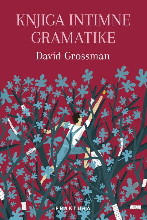 David Grossman: Knjiga intimne gramatike