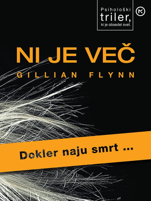 Gillian Flynn: Ni je več