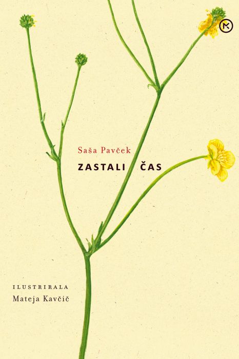 Saša Pavček: Zastali čas