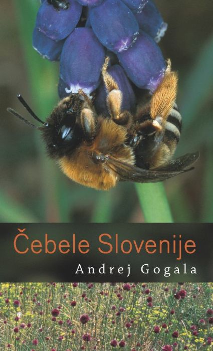 Andrej Gogala: Čebele Slovenije