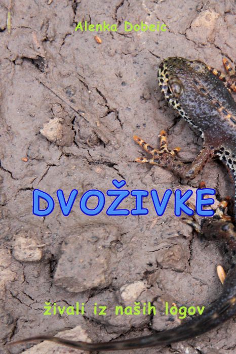 Alenka Dobeic: DVOŽIVKE