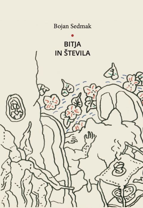 Bojan Sedmak: Bitja in števila