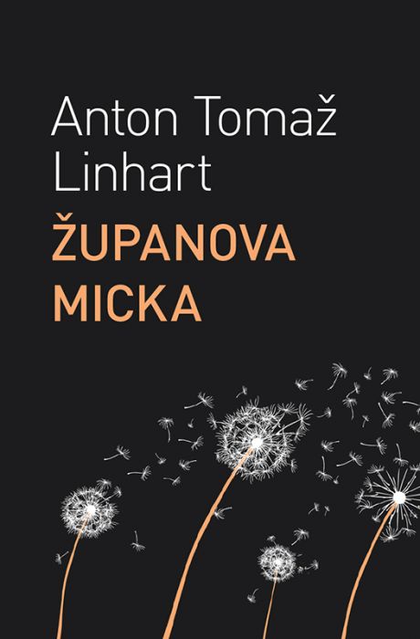 Anton Tomaž Linhart: Županova Micka