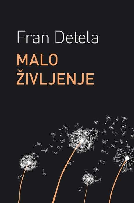 Fran Detela: Malo življenje