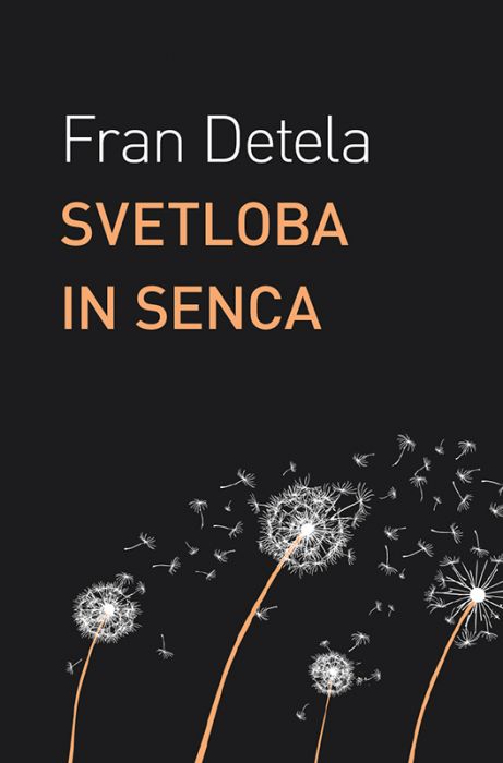 Fran Detela: Svetloba in senca