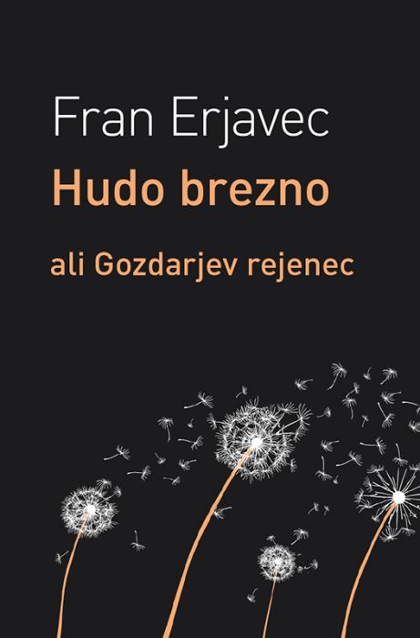 Fran Erjavec: Hudo brezno