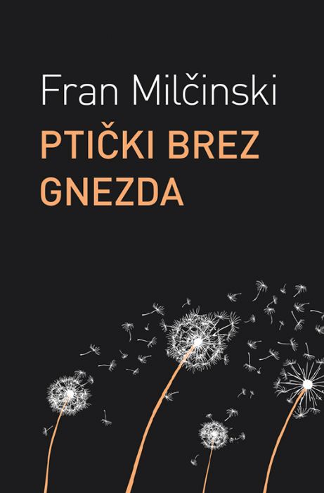 Fran Milčinski: Ptički brez gnezda