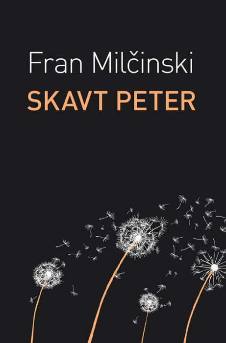 Fran Milčinski: Skavt Peter