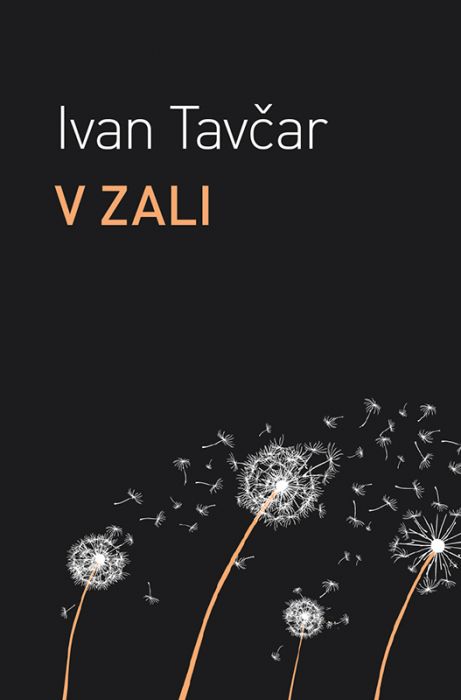 Ivan Tavčar: V Zali