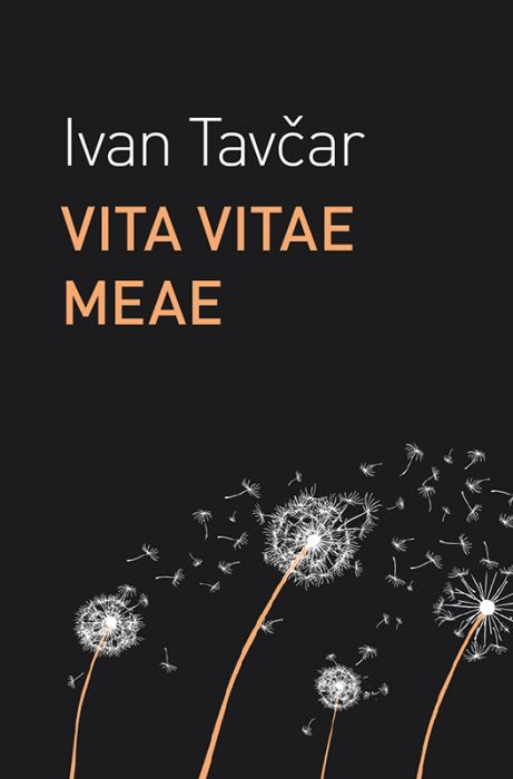 Ivan Tavčar: Vita vitae meae