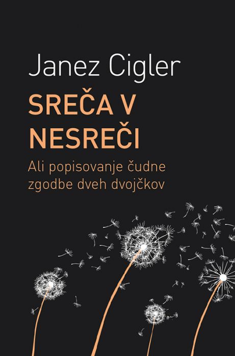 Janez Cigler: Sreča v nesreči