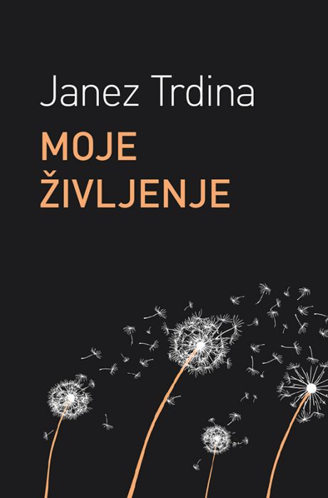 Janez Trdina: Moje življenje