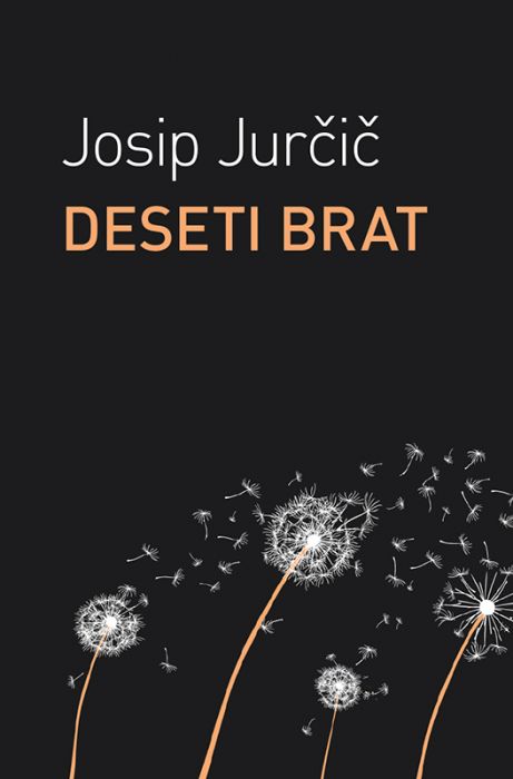 Josip Jurčič: Deseti brat