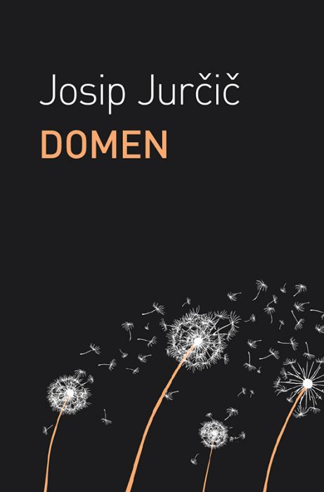 Josip Jurčič: Domen