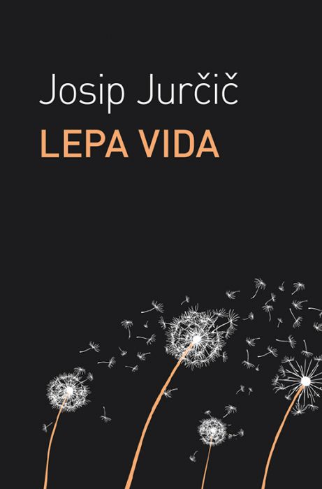 Josip Jurčič: Lepa Vida