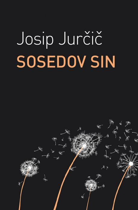 Josip Jurčič: Sosedov sin