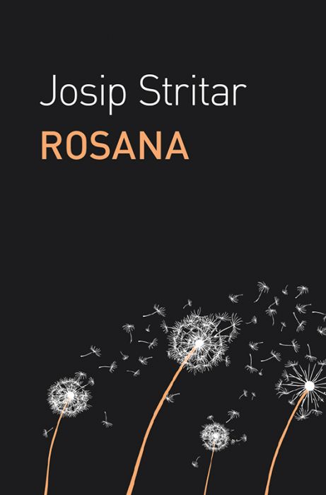 Josip Stritar: Rosana