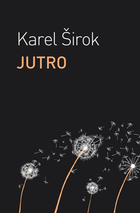 Karel Širok: Jutro