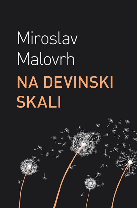 Miroslav Malovrh: Na devinski skali