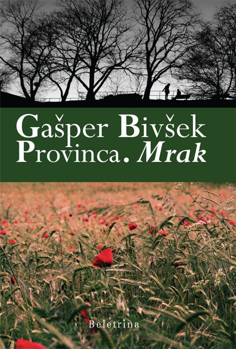 Gašper Bivšek: Provinca. Mrak