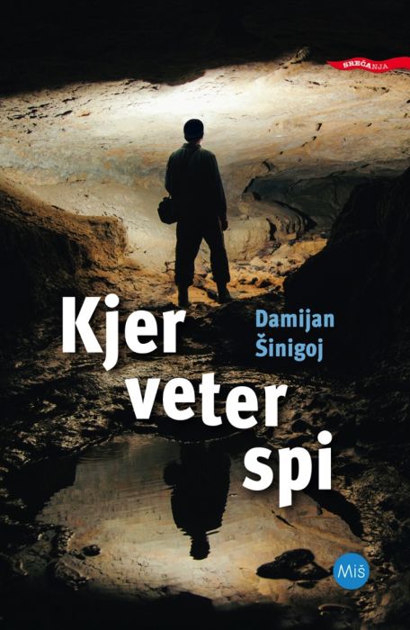 Damijan Šinigoj: Kjer veter spi