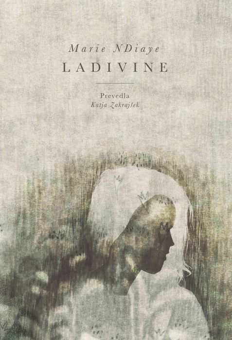 Marie NDiaye: Ladivine