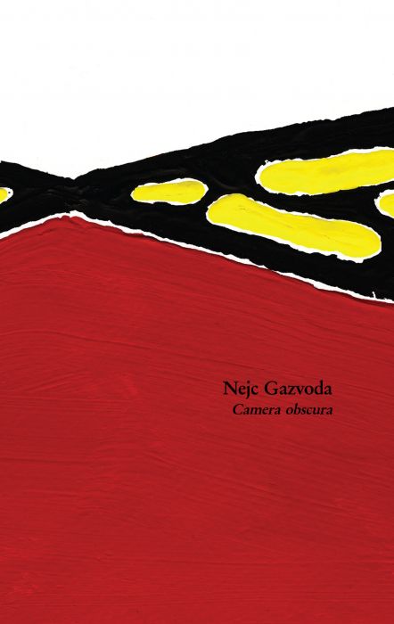 Nejc Gazvoda: Camera obscura