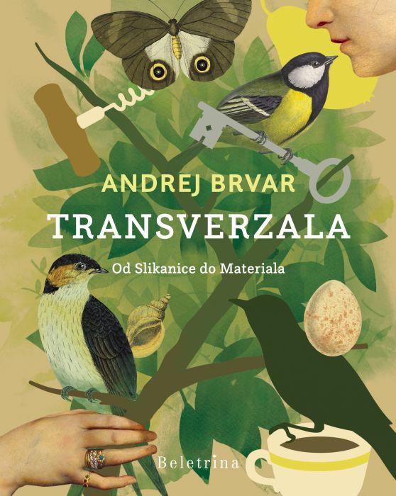 Andrej Brvar: Transverzala