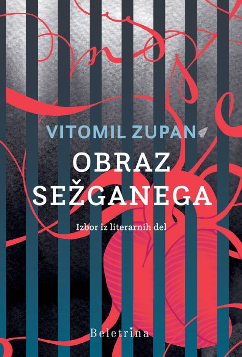 Vitomil Zupan: Obraz sežganega