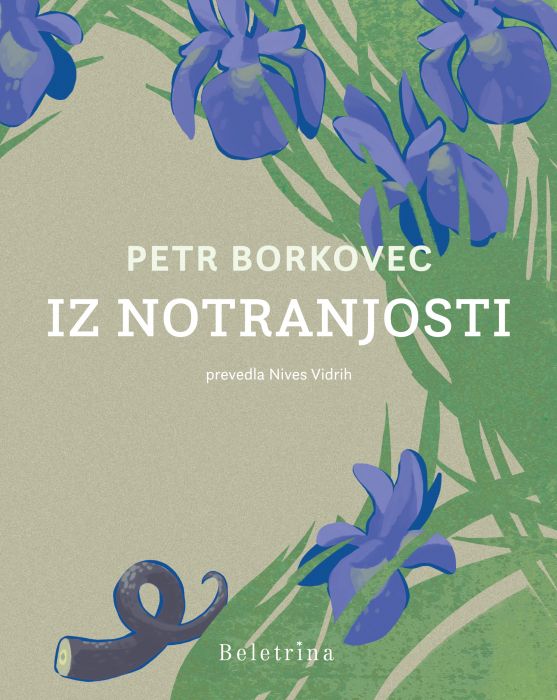 Petr Borkovec: Iz notranjosti