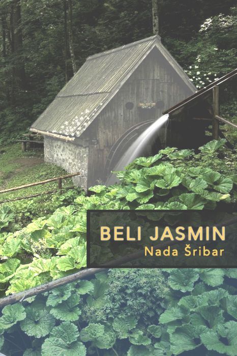 Nada Šribar: Beli jasmin