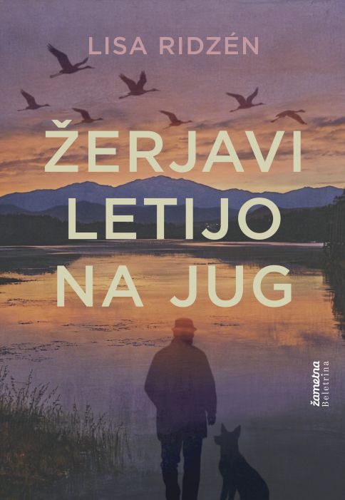 Žerjavi letijo na jug