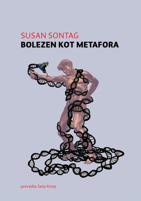 Bolezen kot metafora