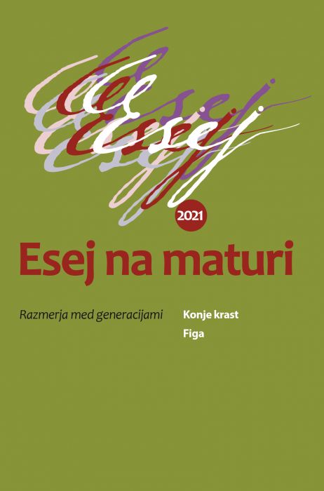 Nastja Bitenc, Janja Perko, Mihael Šorli: Esej na maturi 2021