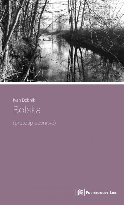 Ivan Dobnik: Bolska