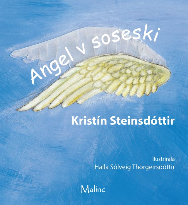 Kristín Steinsdóttir: Angel v soseski