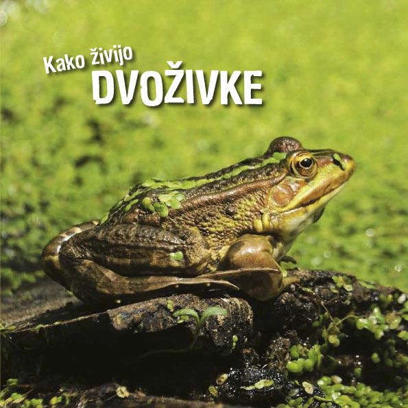 Ivan Esenko: Kako živijo dvoživke