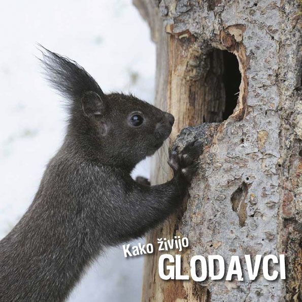 Ivan Esenko: Kako živijo glodavci