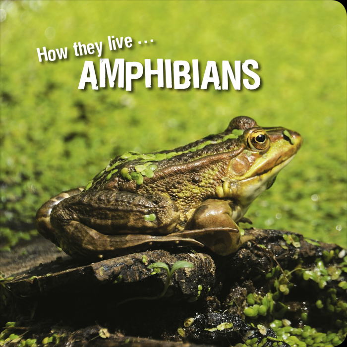 Ivan Esenko: Amphibians