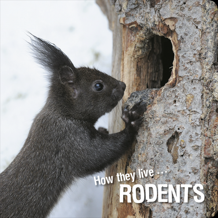 Ivan Esenko: Rodents