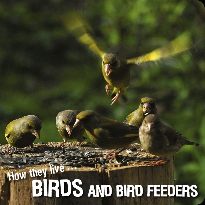 Ivan Esenko: Birds and birds feeders