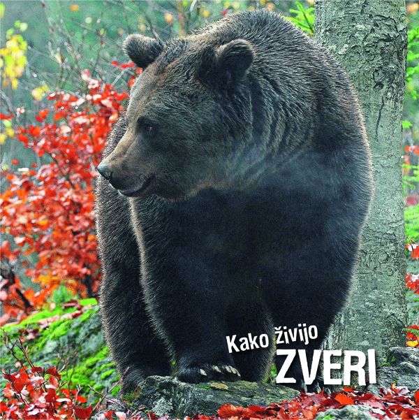 Ivan Esenko: Kako živijo zveri