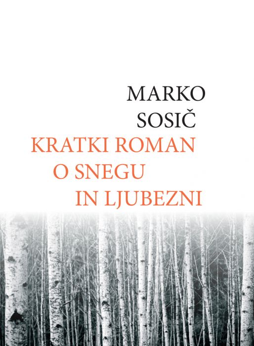 Marko Sosič: Kratki roman o snegu in ljubezni