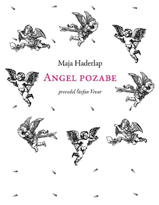 Maja Haderlap: Angel pozabe